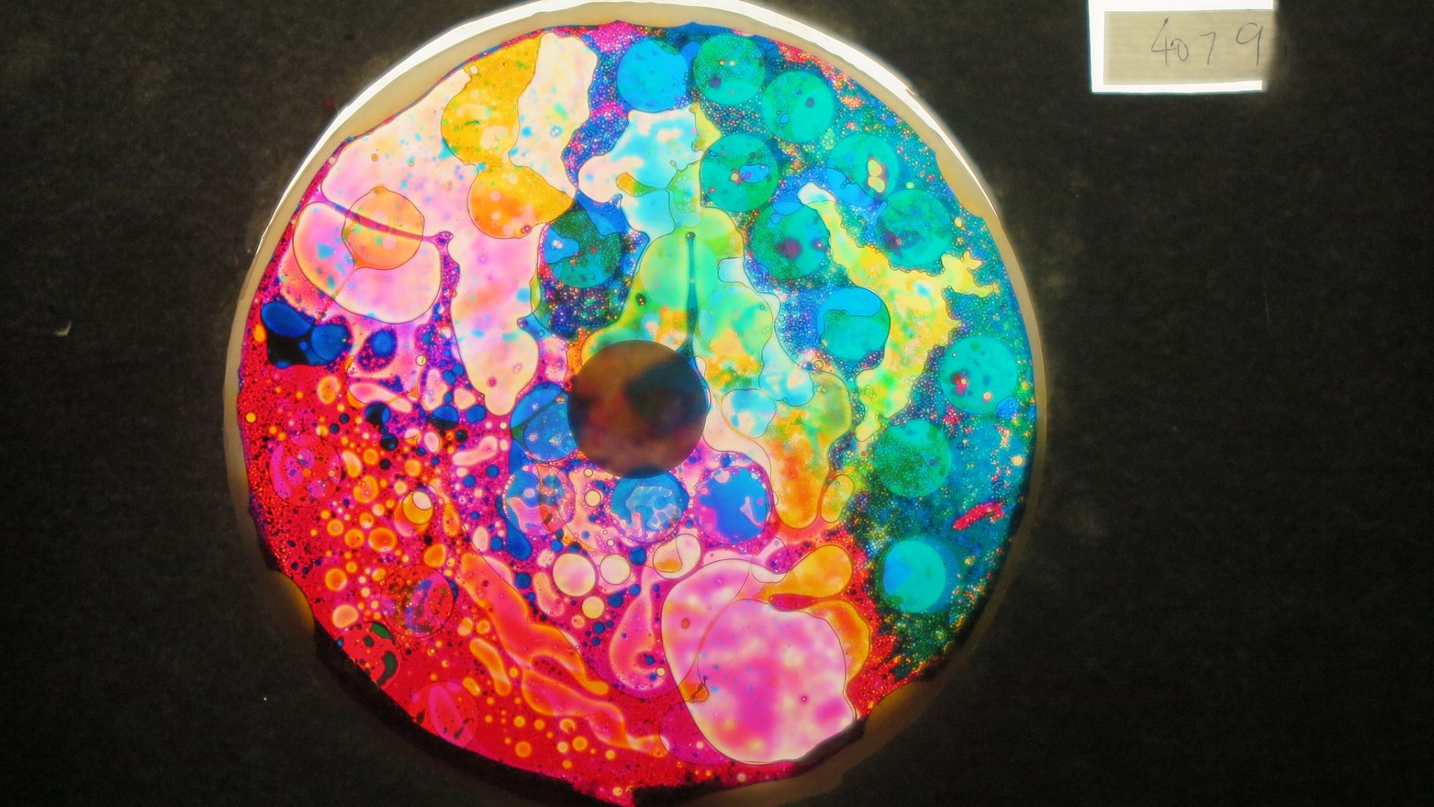 BV4079 bubble vision oil wheel